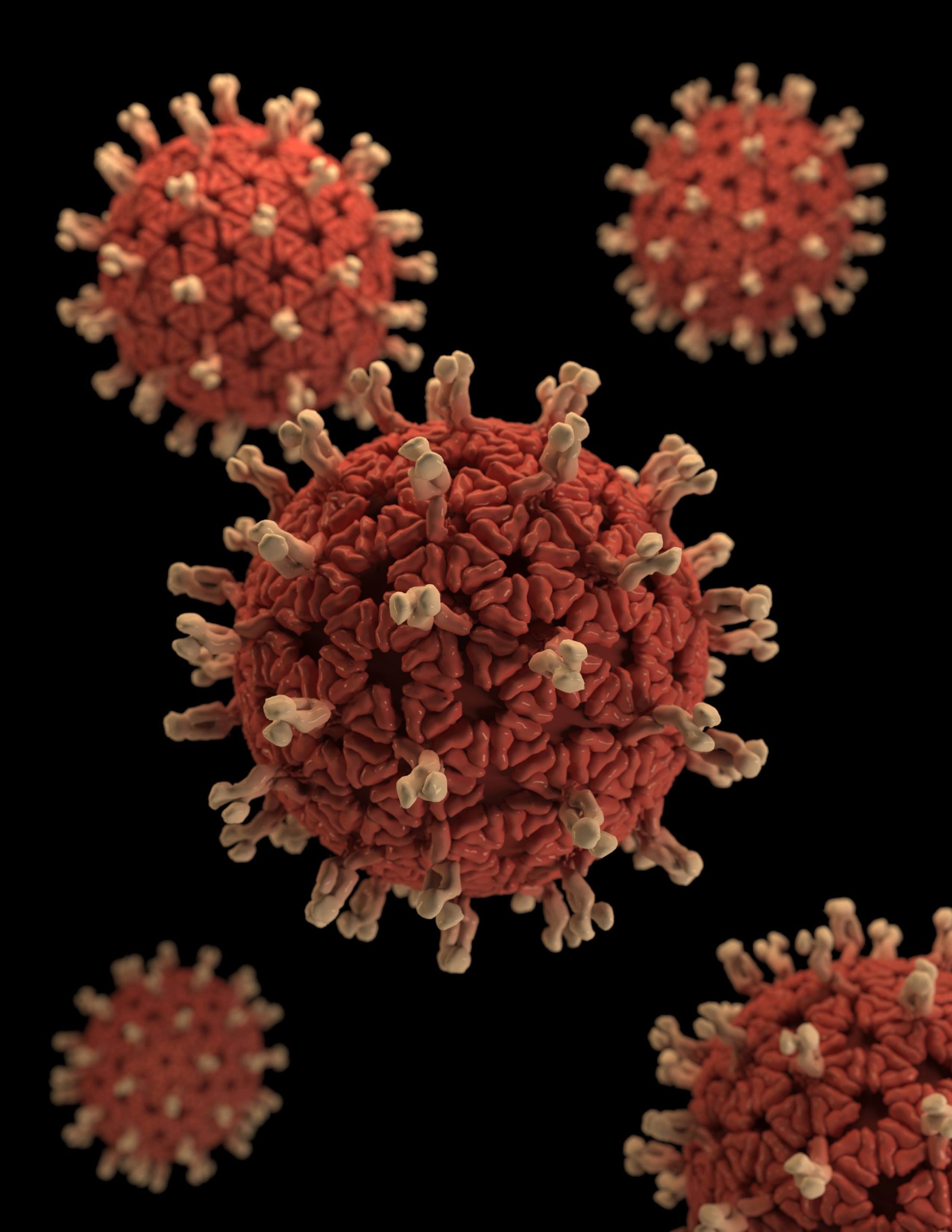 Coronavirus